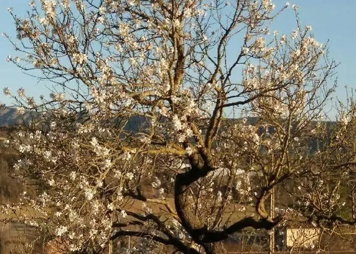 Boutique Bodegas De Arnes - Adults Only