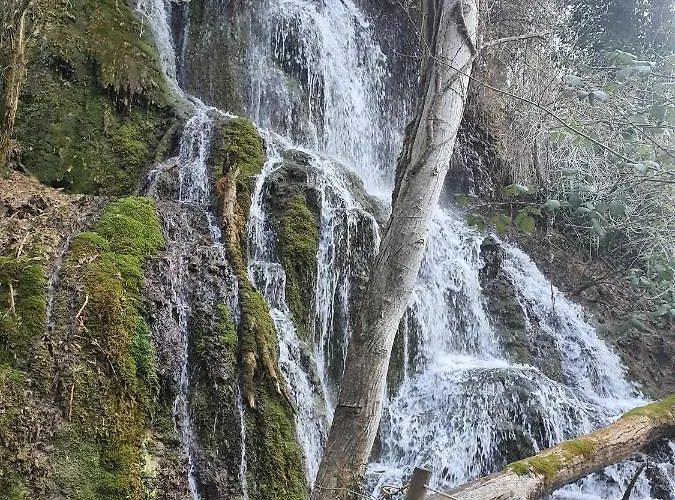 Boutique Bodegas De Arnes - Adults Only Graus